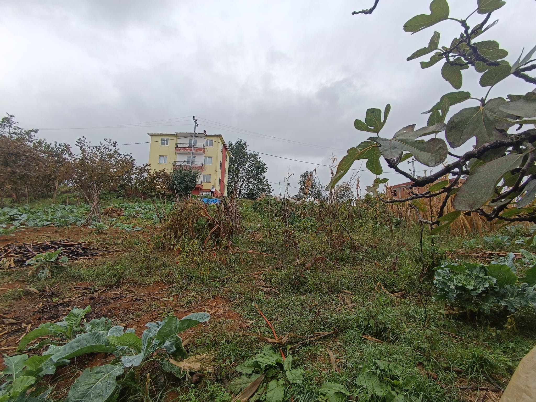 KARŞIKAHA MAH SATILIK ARSA